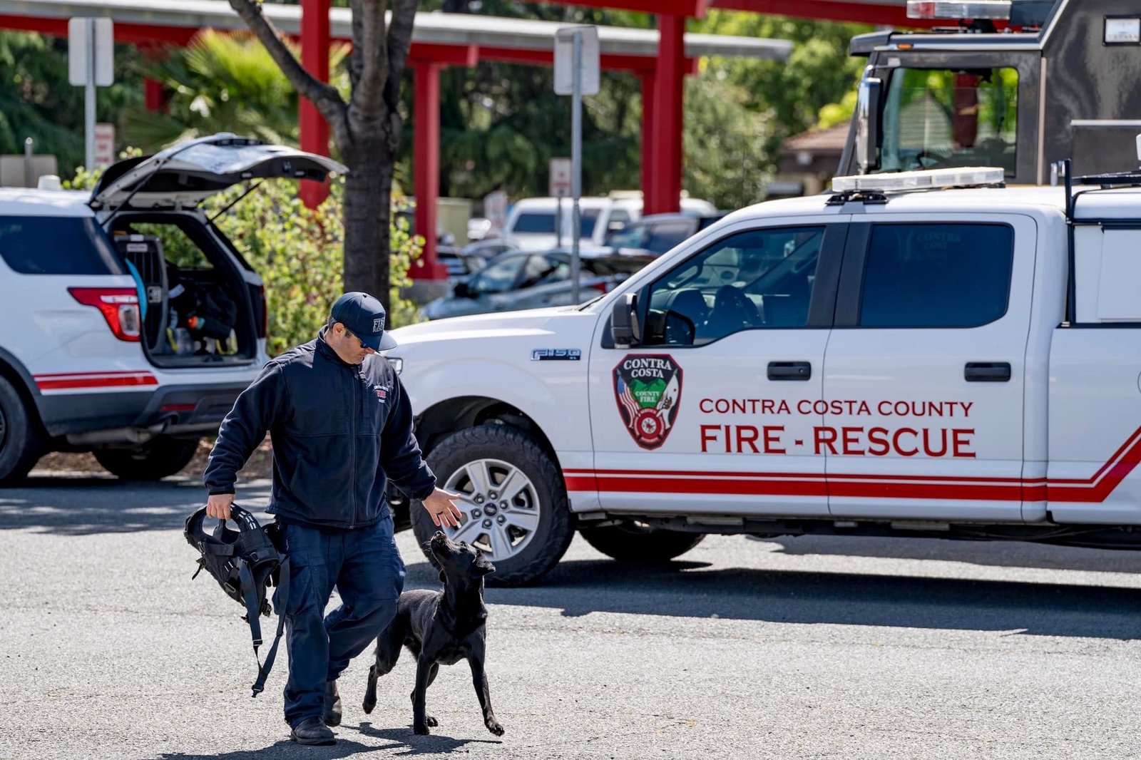Rescue dog walking with firefighter in front of fire department truck